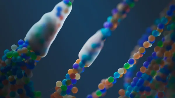 400 Bin Yıllık Dişlerde Denisovans ile Gizli Genetik Bağlantı