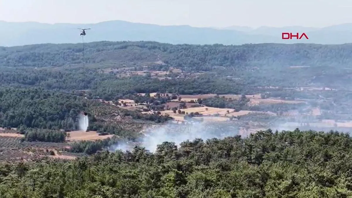 Akdeniz ve Ege'deki orman yangınlarında son durum: Alevler kontrol altında