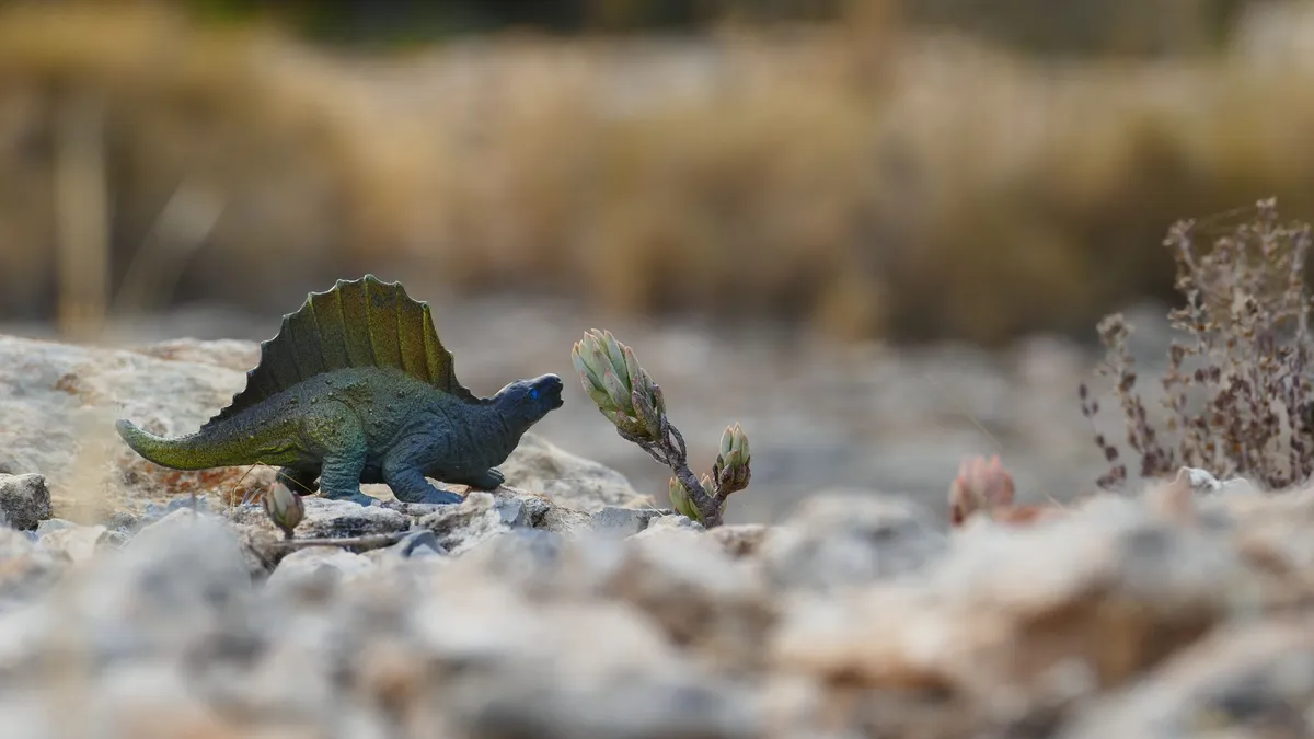 Japonya'da Bulunan 90 Milyon Yıllık Fosil, Kıyı Ekosistemlerindeki Dinozor Çeşitliliğini Işık Altına Alıyor