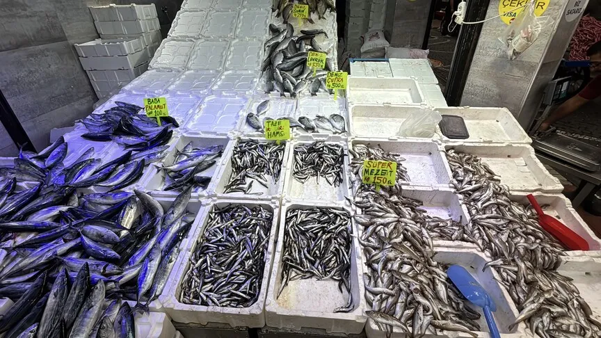 Karadeniz'de bolluk: Palamut fiyatları düştü