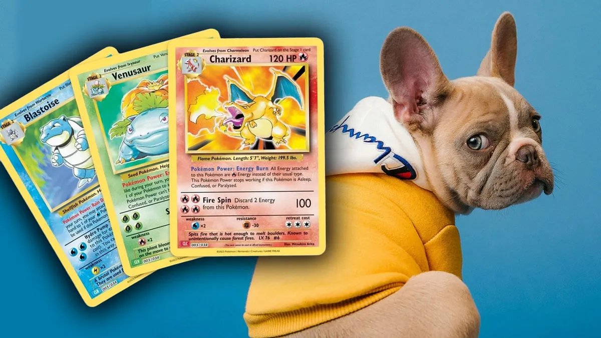 Kart Fuarlarında Alışılmadık Takas: Köpek Yavruları Karşılığında Pokémon Kartı