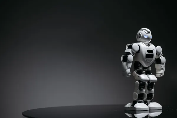 Kayseri'de belediyede işe başladı: İnsan görünümlü robot hizmete girdi