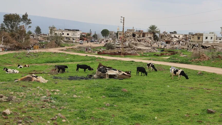 Lübnan'da İsrail saldırılarının tarıma zararı: 56 bin hektar hasar gördü