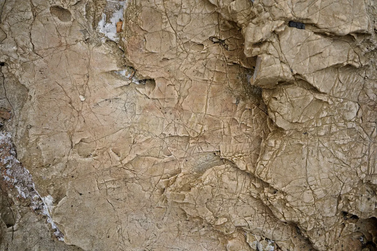 Mars'ta Bal Peteği Benzeri Çatlaklar: Geçmişteki Su Döngülerinin İzleri