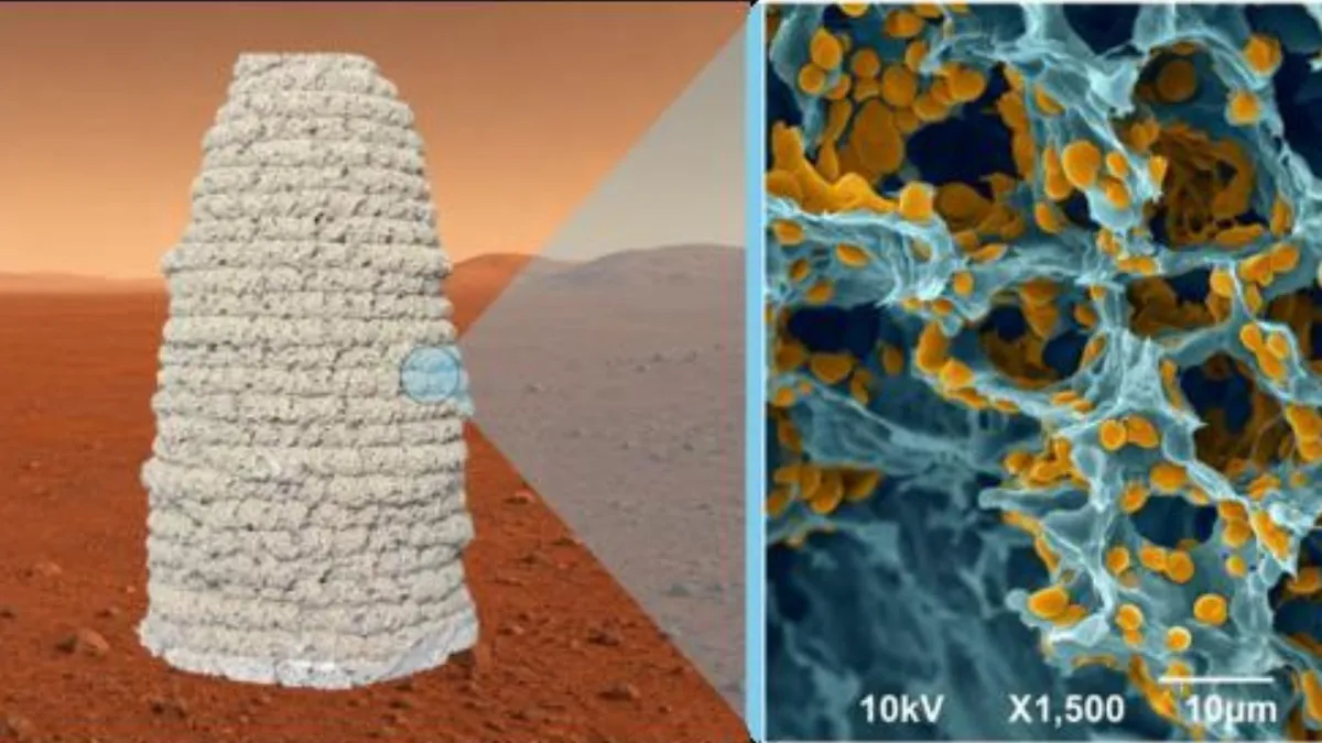 Mars'ta Ev İnşası İçin Maya Tabanlı Devrimci Malzeme