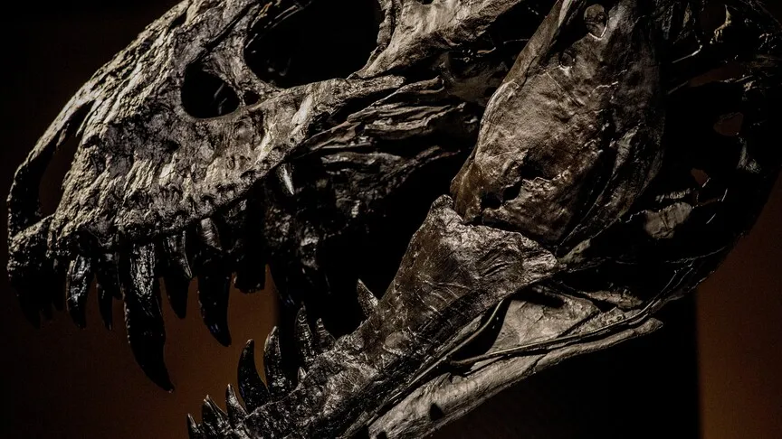 T-rex'in vücut ısısı insanlarla aynı mıymış?